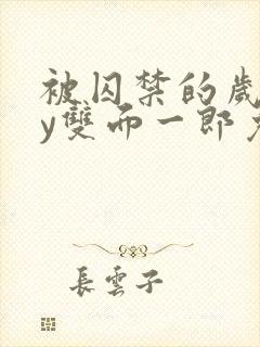 被囚禁的岁月by双面一郎免费阅读笔趣阁封面