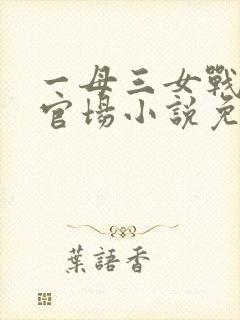 一母三女战一婿官场小说免费阅读