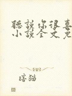 听说你很喜欢我小说全文免费阅读