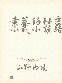 黄蓉的秘密大武小武小说结局