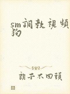 sm调教视频母狗