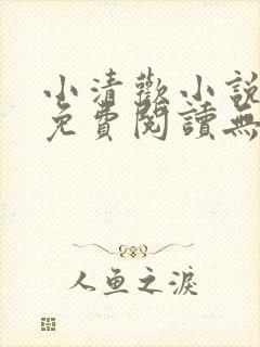 小清欢小说全文免费阅读无删减版封面