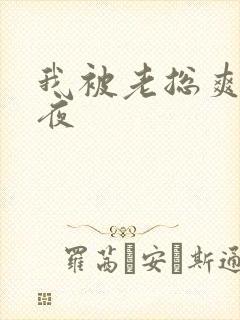 我被老总爽了一夜