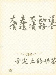 丈夫不知道妻子偿还债务全集观看封面