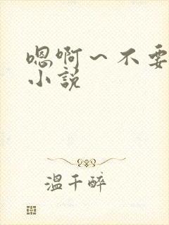 嗯啊～不要啊h小说