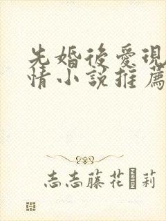 先婚后爱现代言情小说推荐