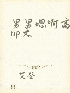 男男嗯啊高h黄np文