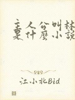 主人公叫林峰的是什么小说封面