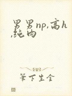 男男np,高h,纯肉