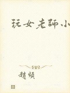 玩女老师小说封面