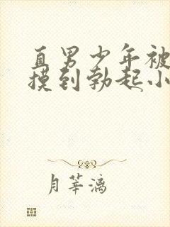 直男少年被同男摸到勃起小说封面