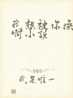 我想被你操啊啊啊小说