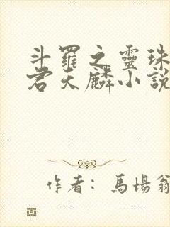 斗罗之灵珠神剑君天麟小说原文免费阅读