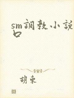 sm调教小说重口