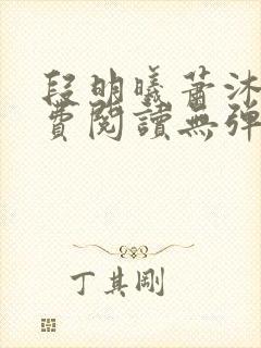 段明曦萧沐宸免费阅读无弹窗封面