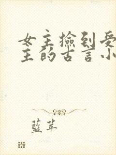 女主捡到受伤男主的古言小说推荐