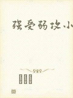 强受弱攻小说