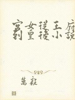宫女从王府侍妾到皇后小说