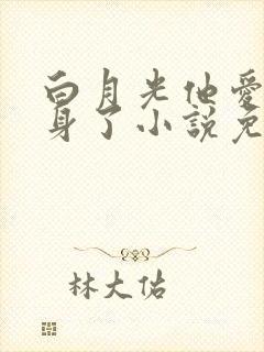 白月光他爱上替身了小说免费阅读