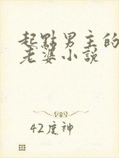 起点男主的笨蛋老婆小说