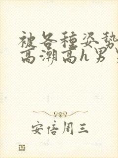 被各种姿势c到高潮高h男男视频