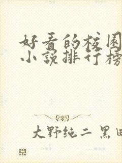 好看的校园言情小说排行榜前十名封面