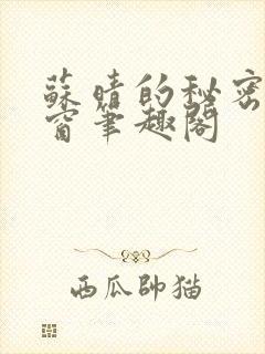 苏晴的秘密无弹窗笔趣阁