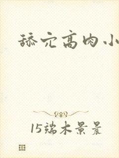 舔穴高肉小说封面