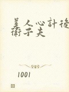 美人心计后续之卫子夫