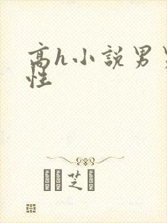 高h小说男男双性