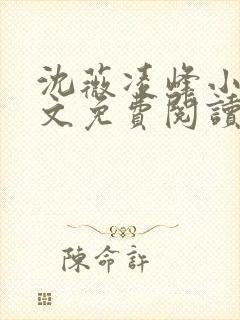 沈薇凌峰小说全文免费阅读最新章节