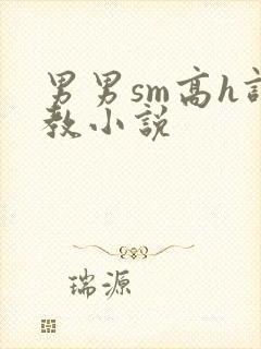 男男sm高h调教小说