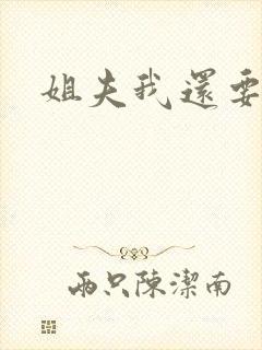 姐夫我还要小说