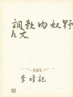 调教肉奴野原琳h文