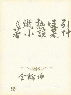 《炽热吸引》原著小说是什么封面