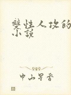 双性人攻的高h小说