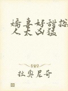 娇妻好甜总裁大人太凶猛