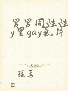 男男同性性gay里gay气片网站封面