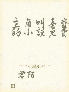 主角叫秦齐林洁的小说免费阅读