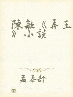 陈敏《弄玉偷香》小说封面