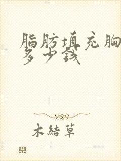 脂肪填充胸部要多少钱