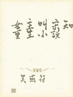 女主叫宋知意的重生小说封面