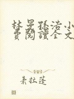 林曼孙浩小说免费阅读全文最新章节封面