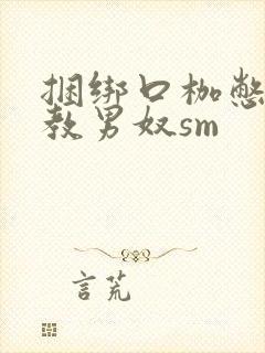 捆绑口枷憋尿调教男奴sm