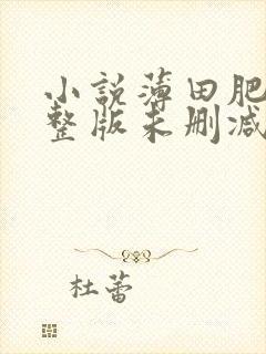 小说薄田肥妻完整版未删减小说