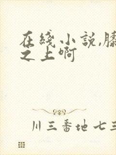 在线小说,膝盖之上啊