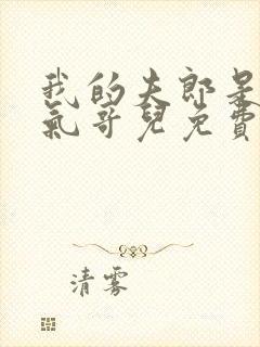 我的夫郎是个娇气哥儿免费阅读