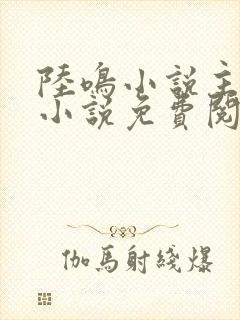 陆鸣小说主角的小说免费阅读全文