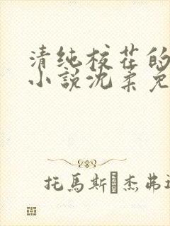 清纯校花的日常小说沈柔免费阅读封面