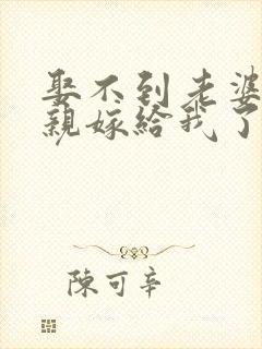 娶不到老婆,母亲嫁给我了的小说